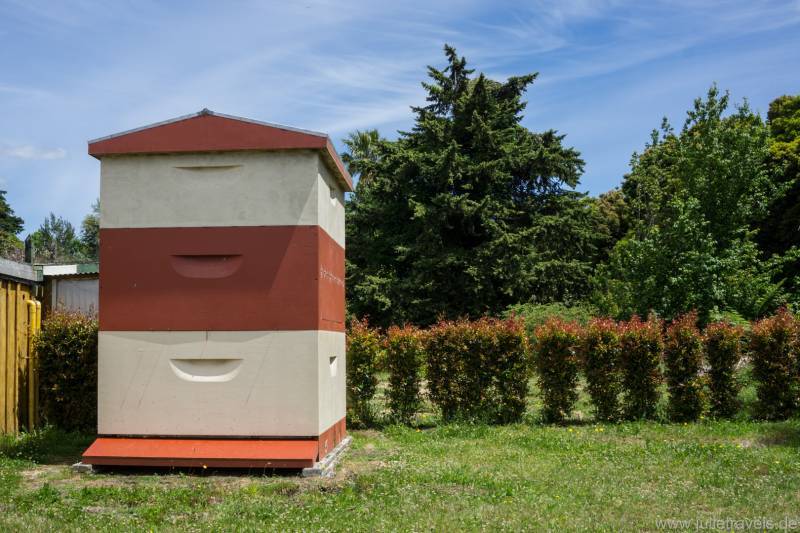 Kerkeri Bee Hive