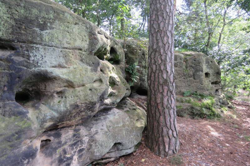Geocaching_SaechsischeSchweiz_JessikaFichtel