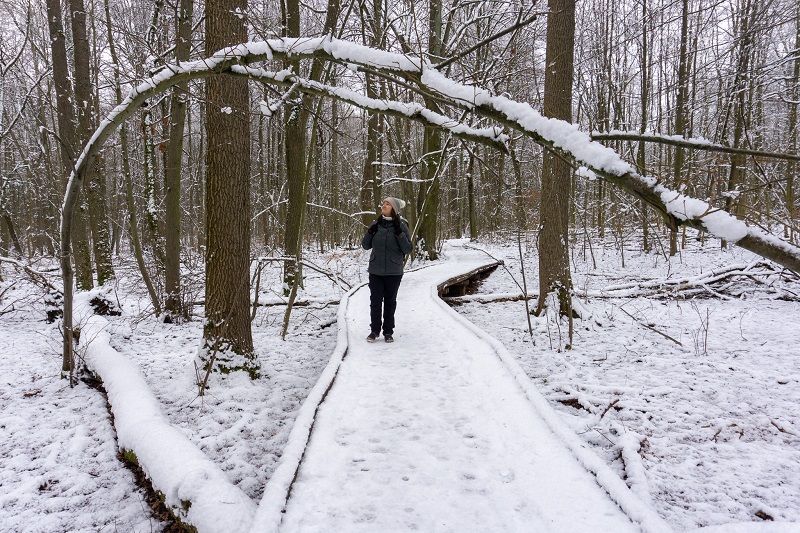 Eine Frau läuft über einen verschneiten Steg unter einem abgeknickten Baum entlang.
