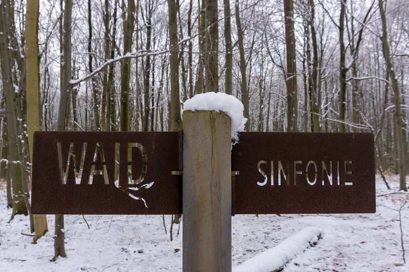 Ein Schild auf dem WALD Sinfonie steht. Im Hintergrund sieht man den verschneiten Wald.